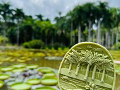 -中国科学院西双版纳热带植物园