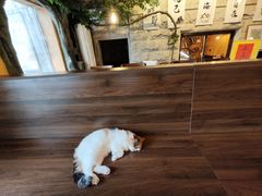 -猫岛主趣味餐厅(鼓浪屿店)
