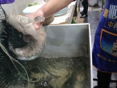 -大理.老字号渝记酸萝卜乌鱼(古城总店)