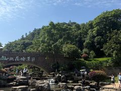 -桃花岭景区