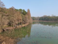 -东湖落雁景区