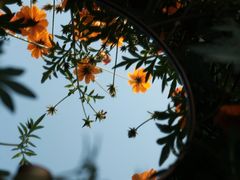 -映月湖中央公园