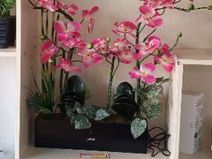 -天虹商场(赣州店)