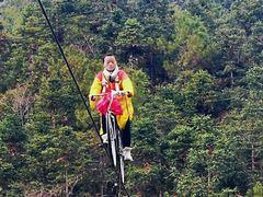 -九龙江国家森林公园