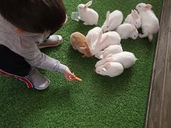 -哈尔滨波塞冬海底世界