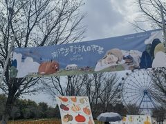 -云幽谷旅游区