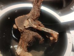 -京韵胡同·酱香羊蝎子火锅涮肉(长寿路店)