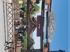 -呀路古热带植物园