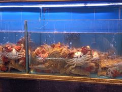 -渔傅印象滩涂霞浦海鲜(井大路店)