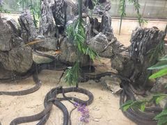 -荔城生鲜盛宴(番禺旗舰店)
