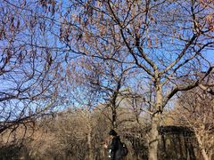 -黑龙江省森林植物园