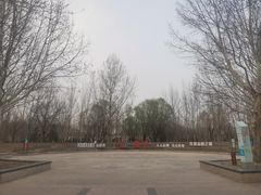 -固安志愿公园
