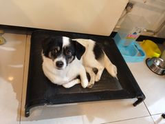 -平行世界·猫咖(首经贸店)
