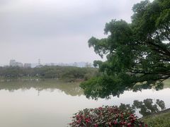 -江心屿景区