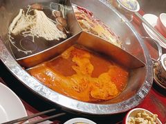 -大龙燚·旷野鲜火锅(广州首店)