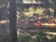 -云南野生动物园