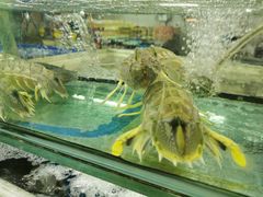 -班赞海鲜市场