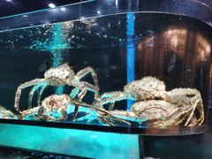 -金翠皇宫粤菜·点心·海鲜(科技园店)