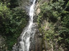 -四明山国家森林公园