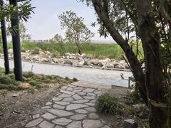 -吴淞炮台湾湿地森林公园烧烤区