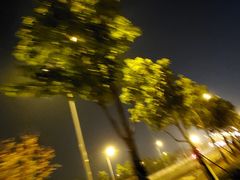 -廊坊市自然公园