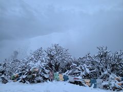 -达瓦更扎