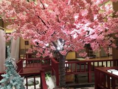 -大江户·温泉洗浴(浑南店)