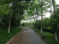 iphone_upload_pic-上海鲜花港