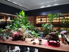 -红鼎豆捞·专注品质海鲜20年(宝丰路店)