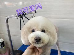 -芭比堂动物医院·心脏专科·夜诊·吉雅分院