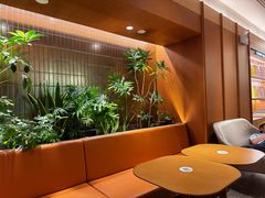 -奈雪的茶(大梅沙8号仓店)