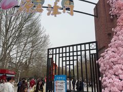 -桃花堤公园