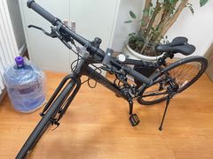 -道路口单车爱瓦士dahon大行