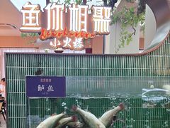-鱼你相聚·河鲜馆(袁家岭店)