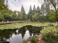 -范蠡湖公园