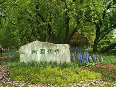 -海淀公园