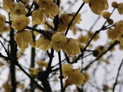 -上海滨江森林公园