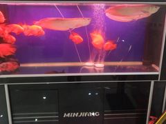 -绿岛汤泉韩式休闲会所