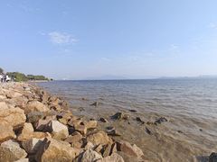 -深圳湾公园(南山区)