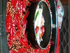 -渝大狮毛肚老火锅(普陀店)