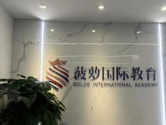 -菠萝国际教育专注Alevel·IGCSE·IB·AP·托福雅思培训辅导(静安校区)