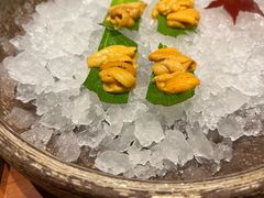 -月龍吟(朝龙汇店)