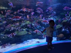 -成都浩海立方海洋公园