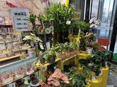 -万达广场(大明宫店)
