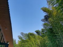 -缙云山景区