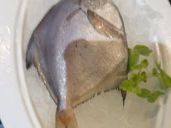 -五星桥原切肥牛火锅·30年专注好牛肉(湖塘店)