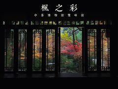 -中国茶叶博物馆(双峰馆区)