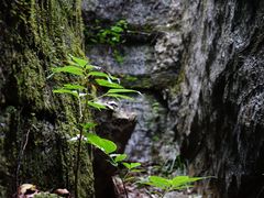 -梭布垭石林景区