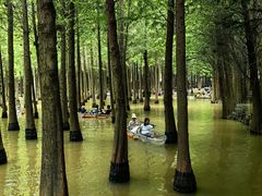-捞渔河湿地公园
