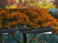 -塔川景区